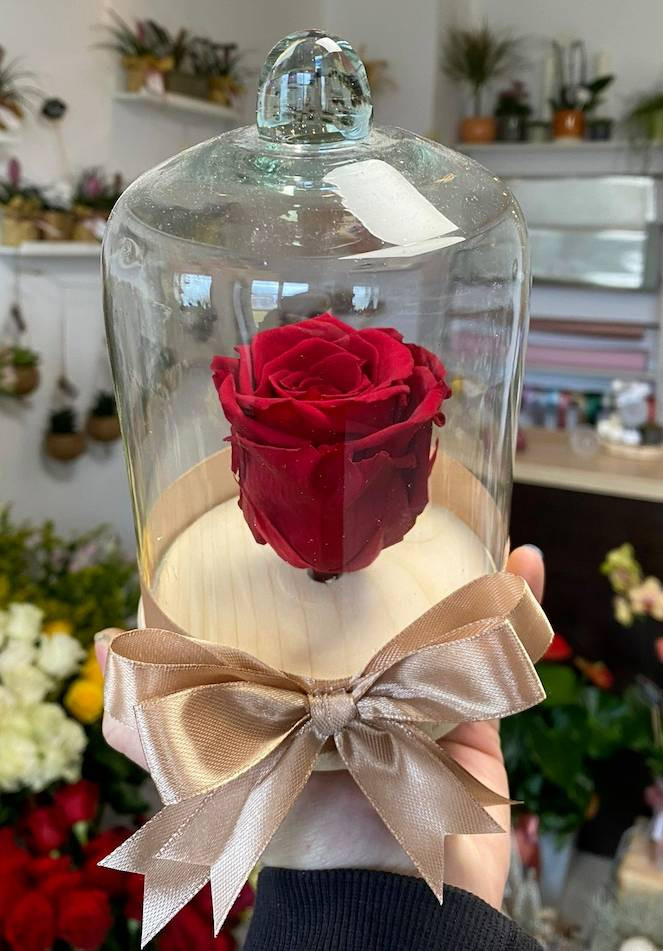 Trandafiri Criogenați în Cupolă de Sticlă Varianta 1