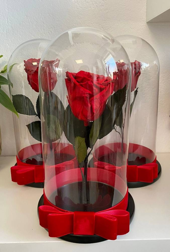 Trandafiri Criogenați în Cupolă de Sticlă Varianta 2